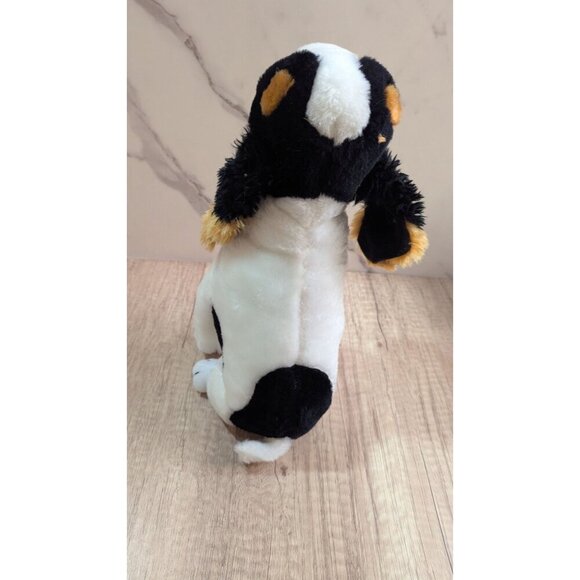 King Charles Spaniel Dog plush stuffed toy Brooklyn Doll Toy co 12" Realistic - Picture 5 of 9